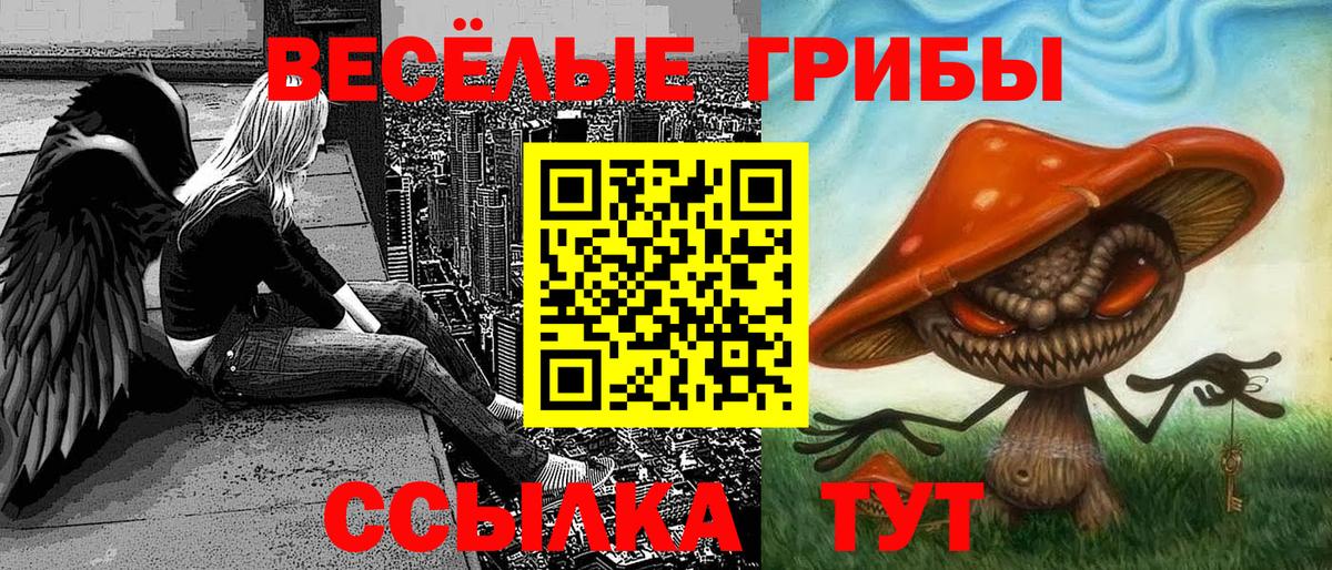 Галлюциногенные грибы GOLDEN TEACHER  Вход с VPN  Коряжма  Галлюциногенные грибы Magic Shrooms 